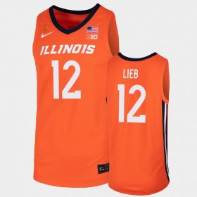 #12 Brandon Lieb College Basketball Illinois Men's Orange Jersey 583203-975